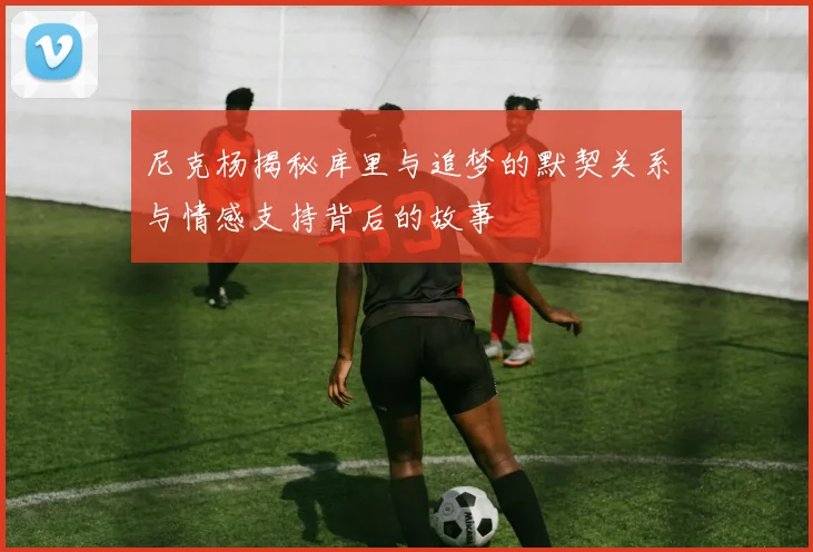 尼克杨揭秘库里与追梦的默契关系与情感支持背后的故事