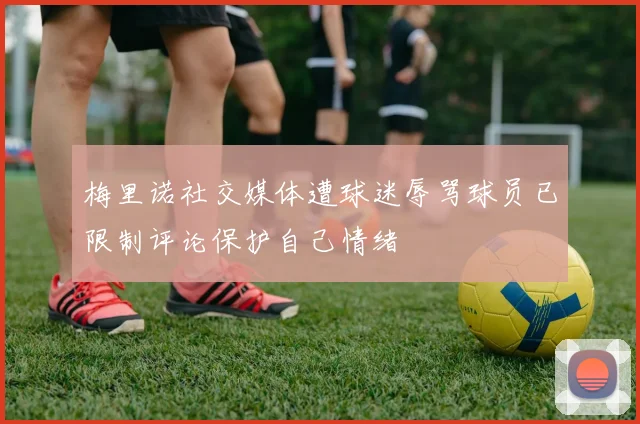 梅里诺社交媒体遭球迷辱骂球员已限制评论保护自己情绪
