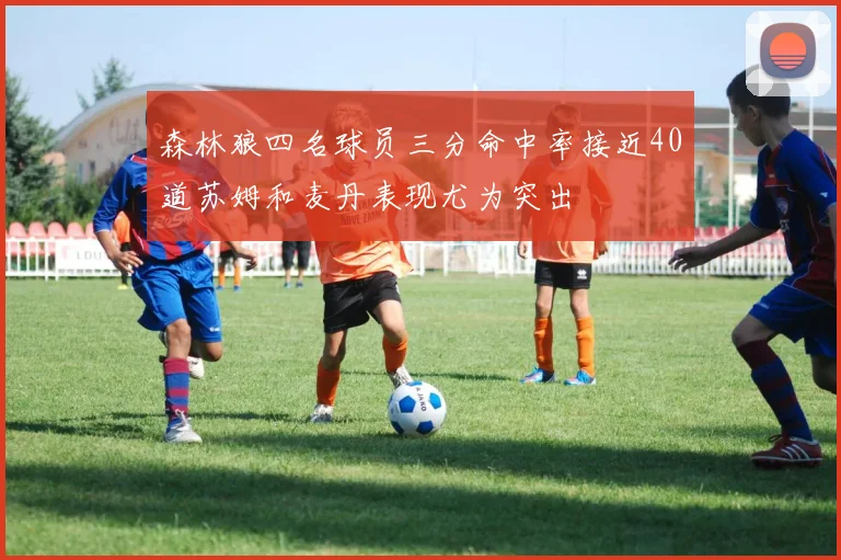 森林狼四名球员三分命中率接近40道苏姆和麦丹表现尤为突出